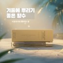 비트 롯데백화점수원 | 겨울 향수 추천 골드필드 앤 뱅크스 인지니어스 진저 및 매장 위치