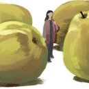 모과