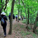 무봉산둘레길 이미지