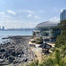 [부산/해운대] 부산 대표 관광명소 ‘동백섬 &amp; 누리마루 APEC 하우스’ 방문 후기