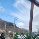 333 | [내돈내산]개정통사리333, 쑥티라미수 못먹었지만 라떼감성에 반한 날[재방문실망후기추가]
