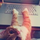 바글바글PC 이미지