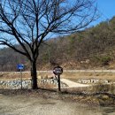 인다락벚꽃길 이미지