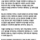 대지정판사
