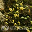 한라전설(주) 이미지