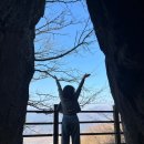 화개농원 | 구례·하동 1박2일 여행 코스｜화개장터, 화엄사 야간개장, 사성암까지