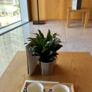 루미 스파 피트니스 | 파크 하얏트 부산 호텔 가격 다이닝룸 루미 스파 수영장 애프터눈티 조식 뷔페 라운지 케이크 예약