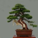 청암공원 이미지