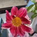 오가네슈퍼 이미지