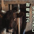 독일 렉스톤 보청기 이미지