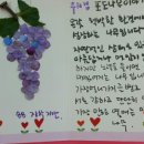 청춘포도 이미지