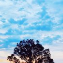 개포4-105 이미지