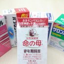 하하마켓