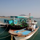 완도주유소 이미지