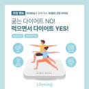 인셀덤 코코 이미지