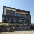 순수농장 | 세종 젖소농장 있는 이색카페 밀크 내돈내산 후기