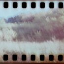 최신영화 신의 한수 2 이미지