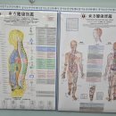 거뜬안마원 | 수원 영통 망포역마사지 국가공인 경기보건안마센터 후기