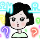 사군자 국화 이미지