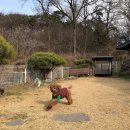 참쉼터 티스토리