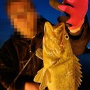 서해대교바다낚시터 | 충남 태안 안면도 1박2일 새조개, 쭈꾸미 샤브샤브 먹방여행과 서해대교 바다낚시터 후기