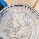 케어114 | 부산매트리스청소 누런 얼룩 비치움포근케어 후기