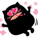 담에스테틱3 이미지