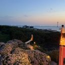 월령지헌 이미지