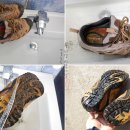 동진수선 이미지