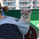정도