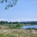 생태명가 이미지