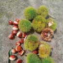 쉼박물관 이미지