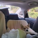 하동하늘숲캠핑장 이미지