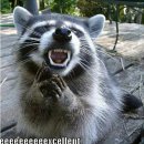 남산중앙시장 이미지