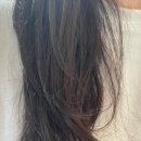겔랑 아베이 로얄 헤어 컬렉션 샴푸 추천 헤어케어 후기
