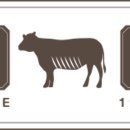 대성축산유통 이미지