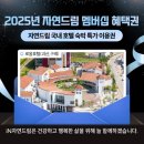 자연드림 호텔 로움 1관 | [괴산] 자연드림 로움호텔 1관 패밀리 (수영장, 찜질방) 후기