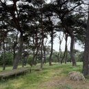 홍동식당 이미지