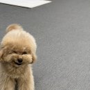 고덕유치원 이미지