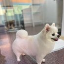 헤이라딘 이미지