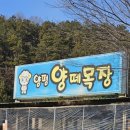 순진목장 이미지