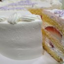 파티라슈 이미지