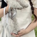 팜메드약국 | 손목 건초염 완치 후기 | 치료방법,체외파충격후기, 파스/손목보호대 추천 등등