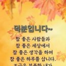 토성대박공인중개사사무소 이미지