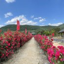 온달관광지 이미지