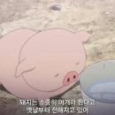 초이노미