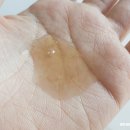 필투연구소