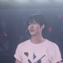 피스우즈 네이버블로그