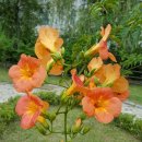 삼거리 공원내 이미지