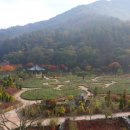 무궁화오토캠핑장 이미지